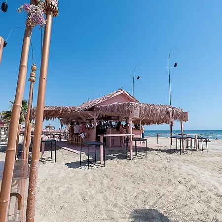 Hotel On Oceanfront Adults Designed Matalascañas
