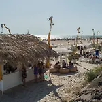 On Oceanfront Adults Designed
