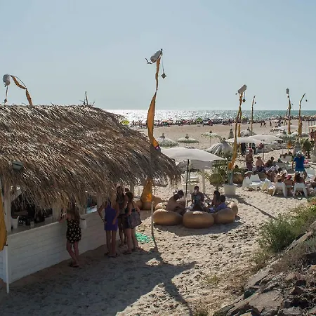 On Oceanfront Adults Designed